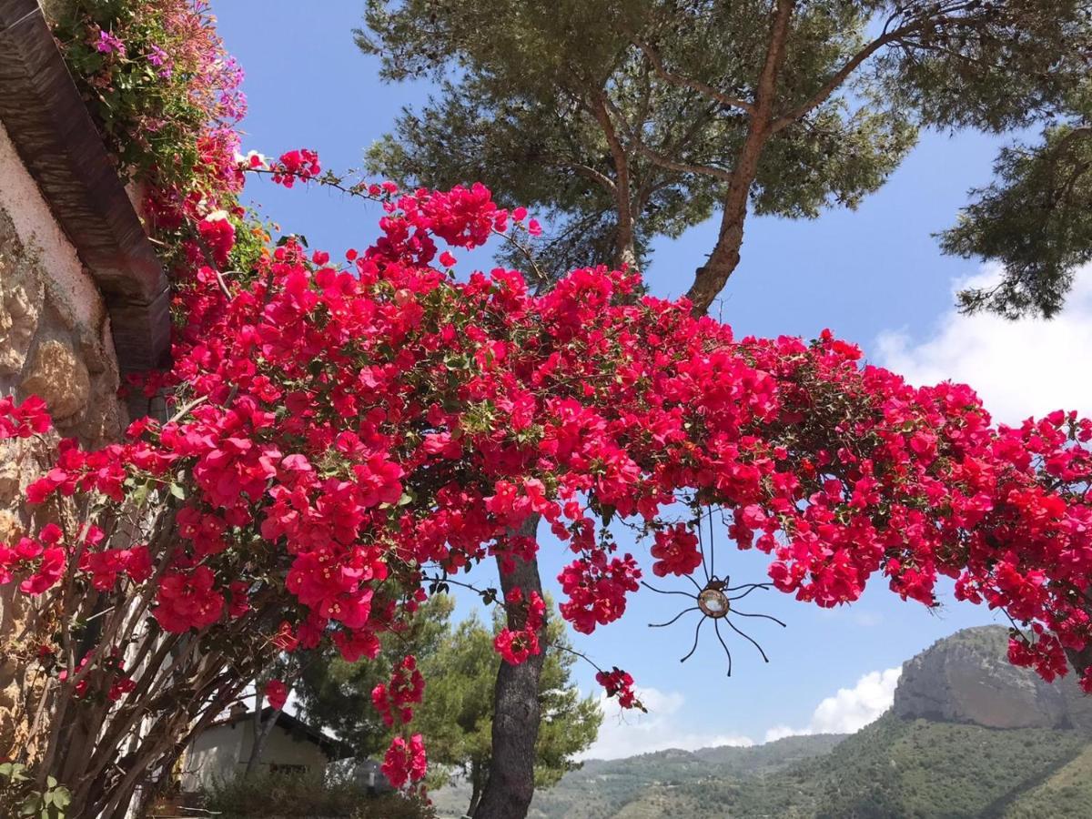 Villaggio Turistico Da Tonino Seglia San Bernardo Bagian luar foto